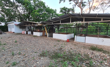 ¡Finca de ensueño! 6 cabañas, piscina, cancha de pasto sintético y acceso al río. ¡No te pierdas esta oportunidad!