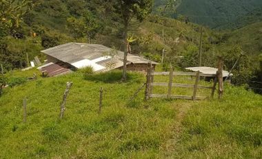 Venta Finca en San Roque Antioquia