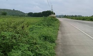 200 HECTARES (EXP 10K HAS.) CONSOLIDATED AGRI LAND PPARCELS SITUATED ALONG NATIONAL ROAD  IN CASTILLO, CONCEPTION, TARLAC, PHILIPPINES