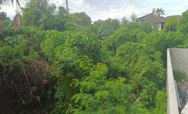 Rare Gem!! Seaside Freehold Land - Just 3 Minutes Walk from Famous Echo Beach, La Brisa