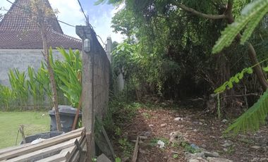 Rare Gem!! Seaside Freehold Land - Just 3 Minutes Walk from Famous Echo Beach, La Brisa