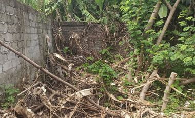 Rare Gem!! Seaside Freehold Land - Just 3 Minutes Walk from Famous Echo Beach, La Brisa