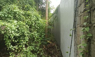Rare Gem!! Seaside Freehold Land - Just 3 Minutes Walk from Famous Echo Beach, La Brisa