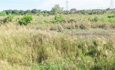 JDL - FOR SALE: 5.6 Hectare Agricultural Lot in Guagua Pampanga