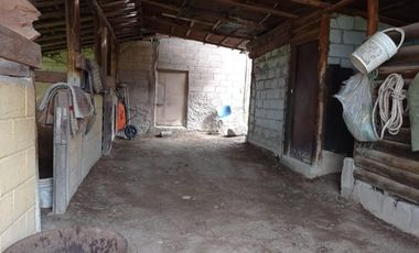 Vendo Quinta con Amplio Terreno Sector Cojitambo