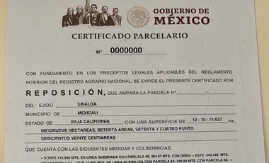 74 HECTAREAS EN VENTA EN EL EJIDO SINALOA EN MEXICALI BAJA CALIFORNIA