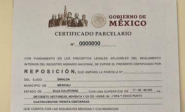 74 HECTAREAS EN VENTA EN EL EJIDO SINALOA EN MEXICALI BAJA CALIFORNIA