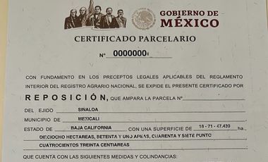 74 HECTAREAS EN VENTA EN EL EJIDO SINALOA EN MEXICALI BAJA CALIFORNIA