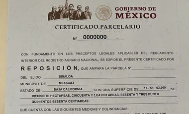74 HECTAREAS EN VENTA EN EL EJIDO SINALOA EN MEXICALI BAJA CALIFORNIA