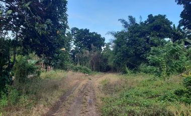 CHARMING 1HAS FARM LOT FOR SALE, SILANG CAVITE
