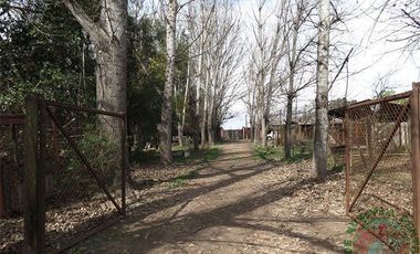 San Felipe – Venta Terreno apto para proyecto inmobiliario 16.800UF/UF 0,17 x m2