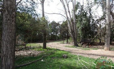 San Felipe – Venta Terreno apto para proyecto inmobiliario 16.800UF/UF 0,17 x m2