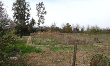 San Felipe – Venta Terreno apto para proyecto inmobiliario 16.800UF/UF 0,17 x m2