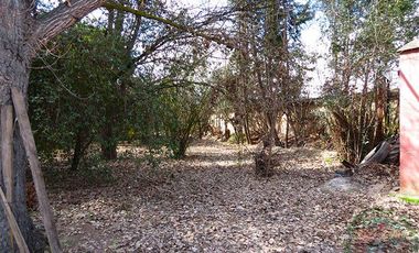 San Felipe – Venta Terreno apto para proyecto inmobiliario 16.800UF/UF 0,17 x m2