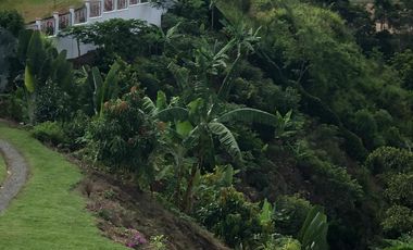 VENTA DE CASA CAMPESTRE DE 1.000 M2 CONSTRUIDOS EN CERRITOS (PEREIRA)