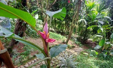 Vendo finca hotel en la Estrella Antioquia