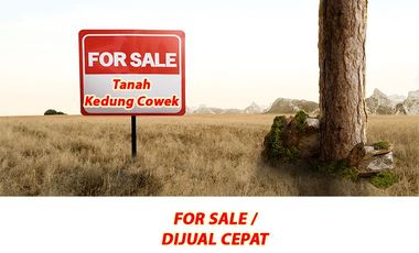 Tanah dijual di Jawa Timur, Surabaya