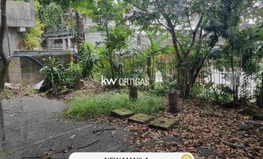 Lot for Sale in New Manila