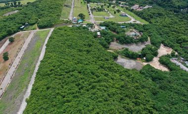 Lot for Sale in Boracay
