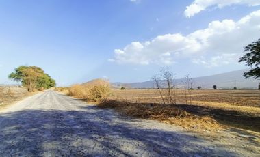 TERRENO EN VENTA LOMAS DE TEJEDA