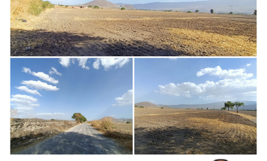 TERRENO EN VENTA LOMAS DE TEJEDA