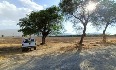 TERRENO EN VENTA LOMAS DE TEJEDA