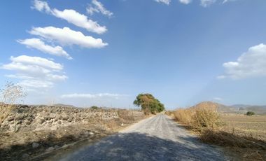 TERRENO EN VENTA LOMAS DE TEJEDA