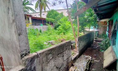 SAN ANTONIO, SAN PEDRO, LAGUNA VACANT LOT @ 1,400 SQM WITH FENCE AND GATE