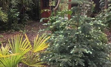 Cabaña en parcela subida al Volcan, Pucón