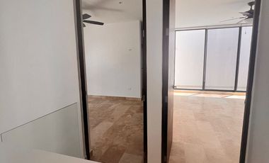 THOYHOUSE TEMOZON LANDA