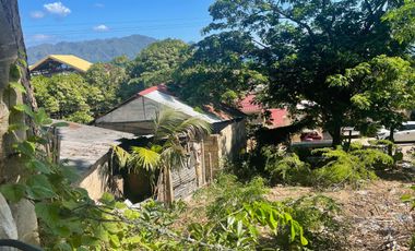 Overlooking Lot For Sale  in  Coron Town