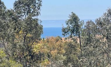 SE RENTA CASA MUY GRANDE BLV. LOS CUÑADOS ROSARITO BAJA