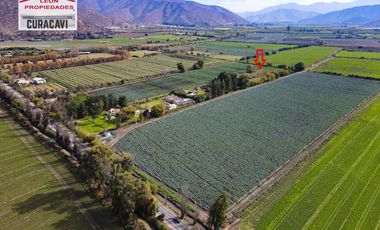 🏠León Propiedades vende hermosa parcela en sector Lolenco, Curacavi🏠
