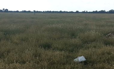 Se Vende Terreno Industrial en Queretaro y Guanajuato carretera 57 con vía del tren y concesión de agua