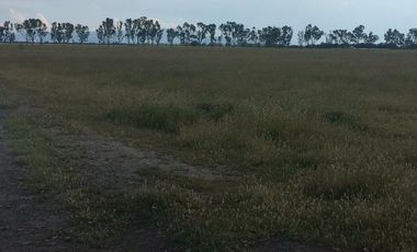 Se Vende Terreno Industrial en Queretaro y Guanajuato carretera 57 con vía del tren y concesión de agua