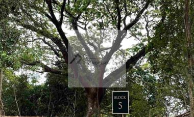 700 sqm Residential Lot For Sale in San Jose del Monte Bulacan Miravera by Ayala Land Premier