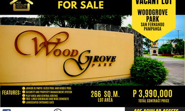 Vacant Lot for Sale in San Fernando Pampanga