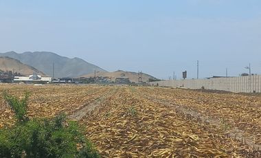 (V)VENDO TERRENO PANAMERICANA NORTE 34,000 M2 KM.87(V)