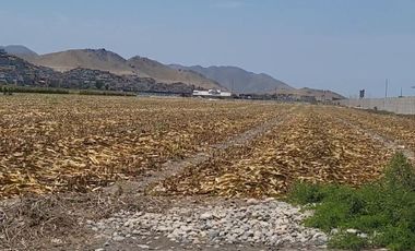 (V)VENDO TERRENO PANAMERICANA NORTE 34,000 M2 KM.87(V)