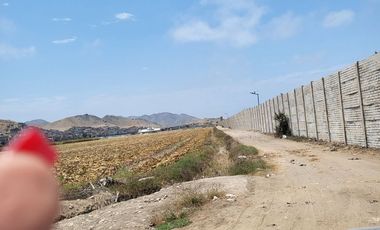 (V)VENDO TERRENO PANAMERICANA NORTE 34,000 M2 KM.87(V)