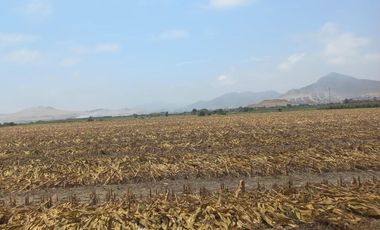 (V)VENDO TERRENO PANAMERICANA NORTE 34,000 M2 KM.87(V)