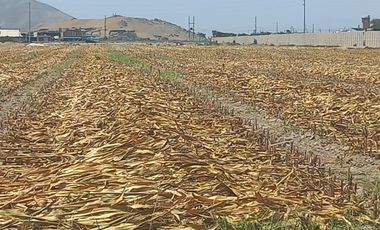 (V)VENDO TERRENO PANAMERICANA NORTE 34,000 M2 KM.87(V)