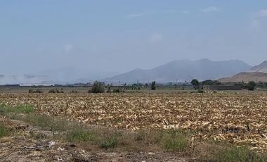 (V)VENDO TERRENO PANAMERICANA NORTE 34,000 M2 KM.87(V)