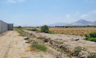 (V)VENDO TERRENO PANAMERICANA NORTE 34,000 M2 KM.87(V)