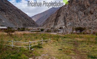 Terreno de 1.980 m2, orilla de carretera. Huanta, Valle del Elqui. $42 millones