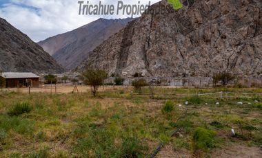 Terreno de 1.980 m2, orilla de carretera. Huanta, Valle del Elqui. $42 millones