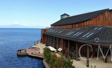 Parcelas con vista al lago Llanquihue, Lomas de Silesia