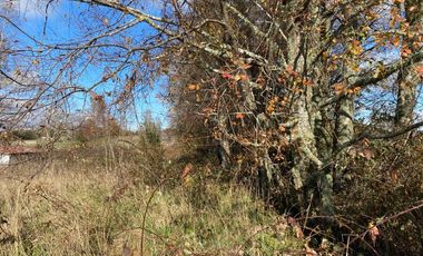 Z O N A S U R . C L Parcela con  Container 40 pies, Vista al Volcán, electricidad camino Villarrica Loncoche