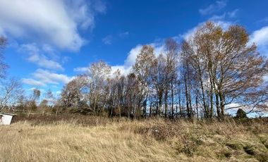 Z O N A S U R . C L Parcela con  Container 40 pies, Vista al Volcán, electricidad camino Villarrica Loncoche