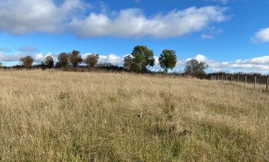 Z O N A S U R . C L Parcela con  Container 40 pies, Vista al Volcán, electricidad camino Villarrica Loncoche